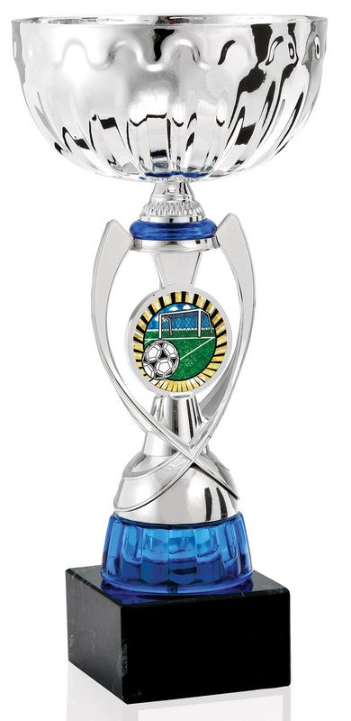 Blue and Silver Logo Cup