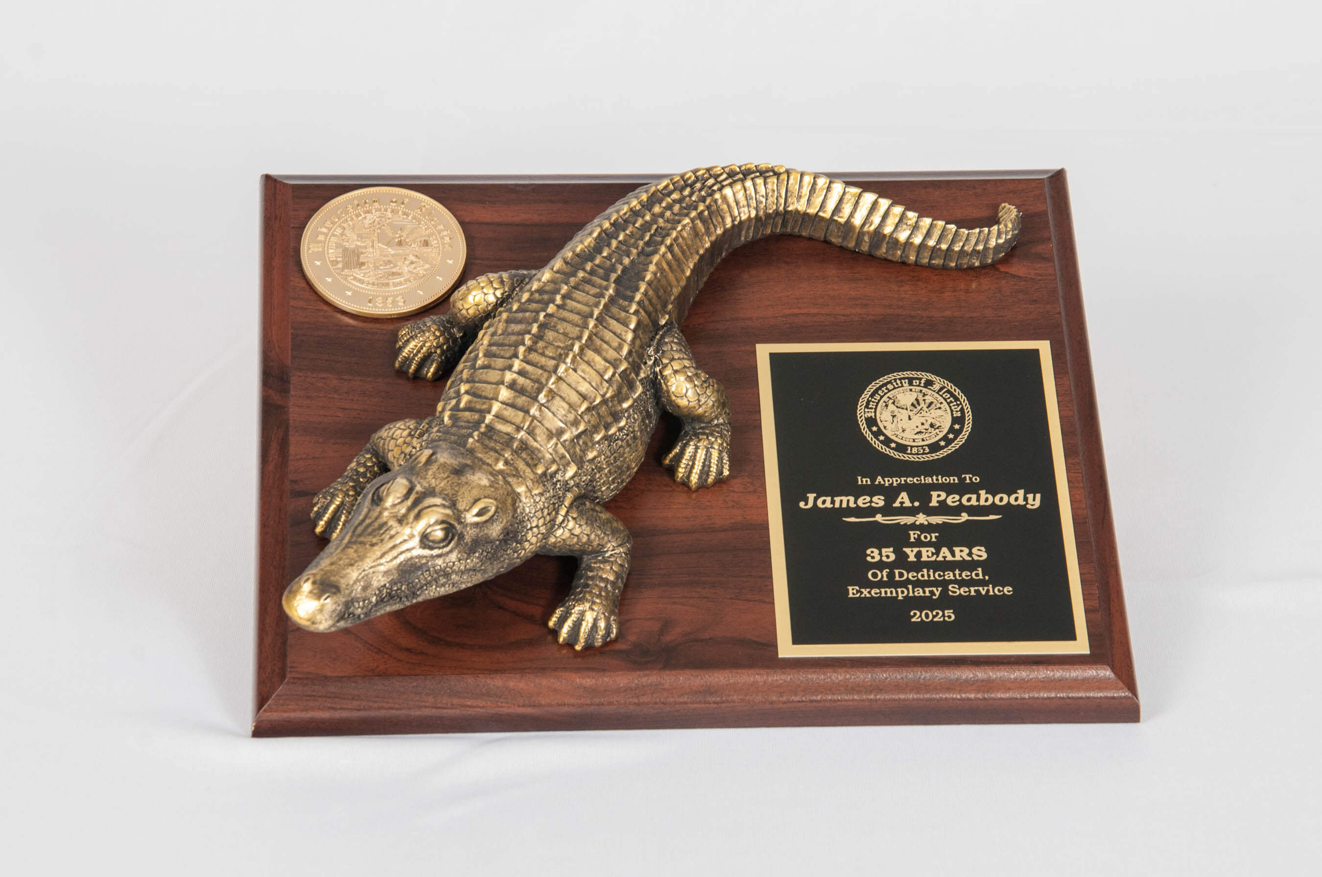 Closed Mouth Gator on 8x10 Plaque top
