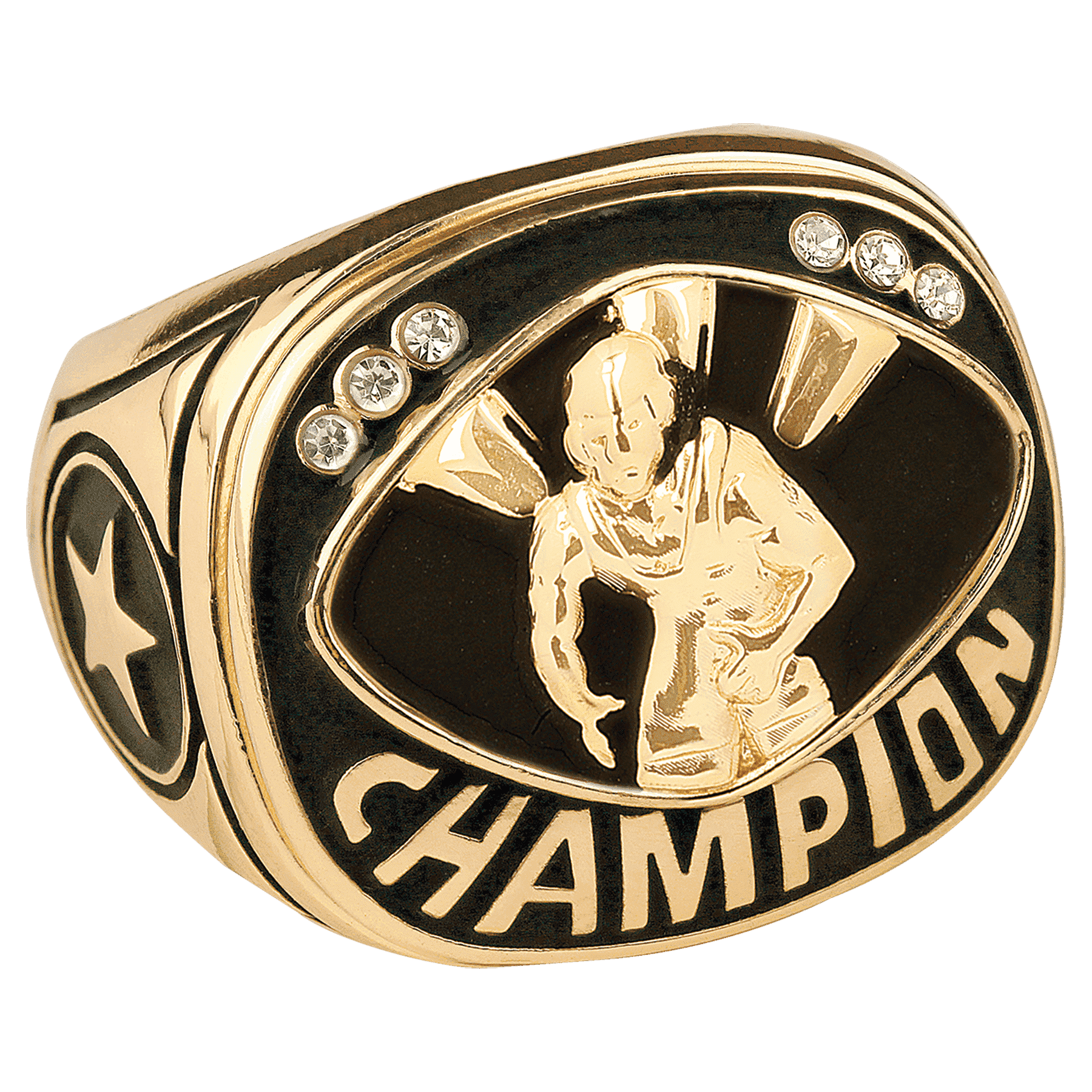 Wrestling Championship Ring