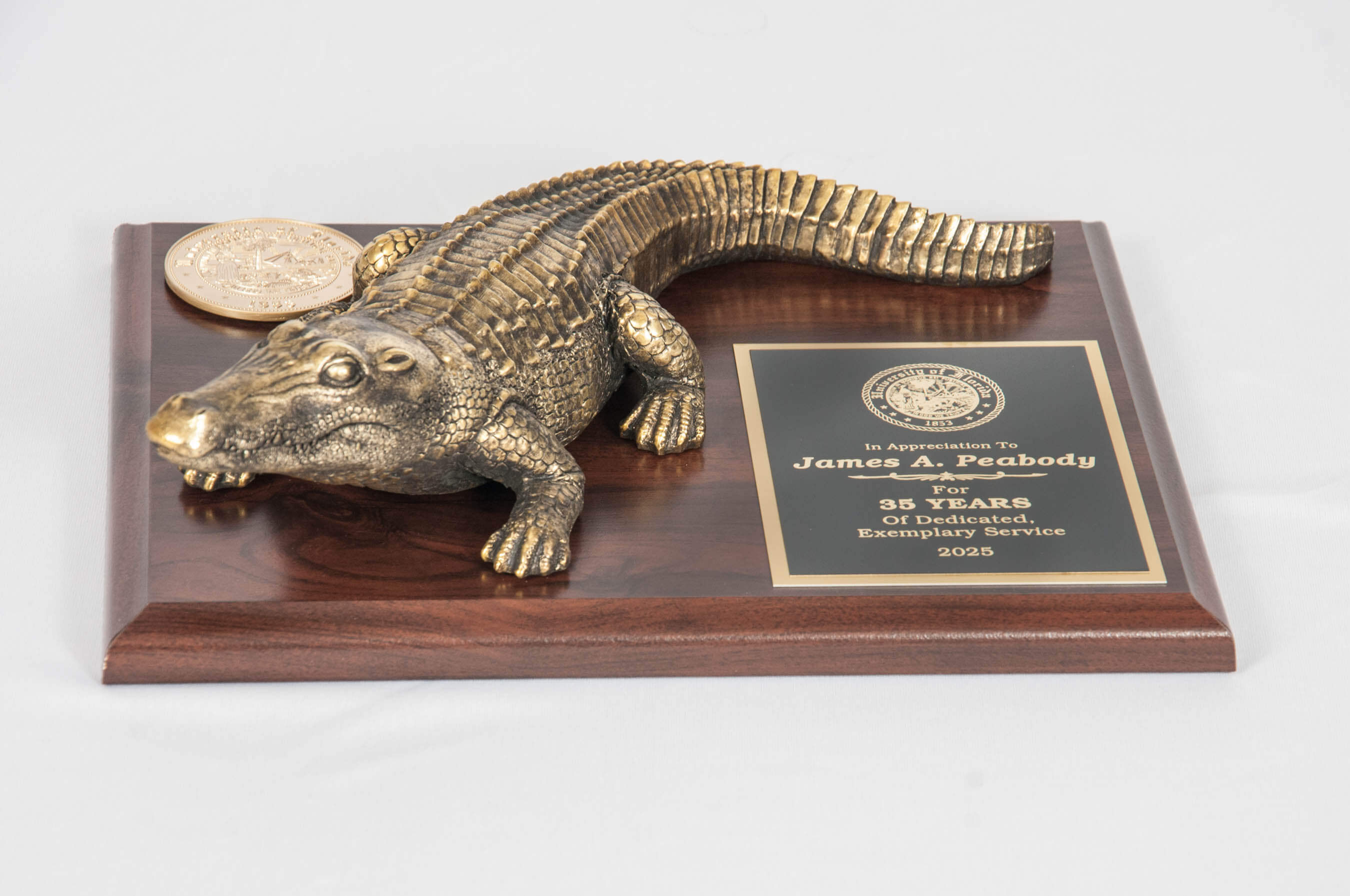 Closed Mouth Gator on 8x10 Plaque angle