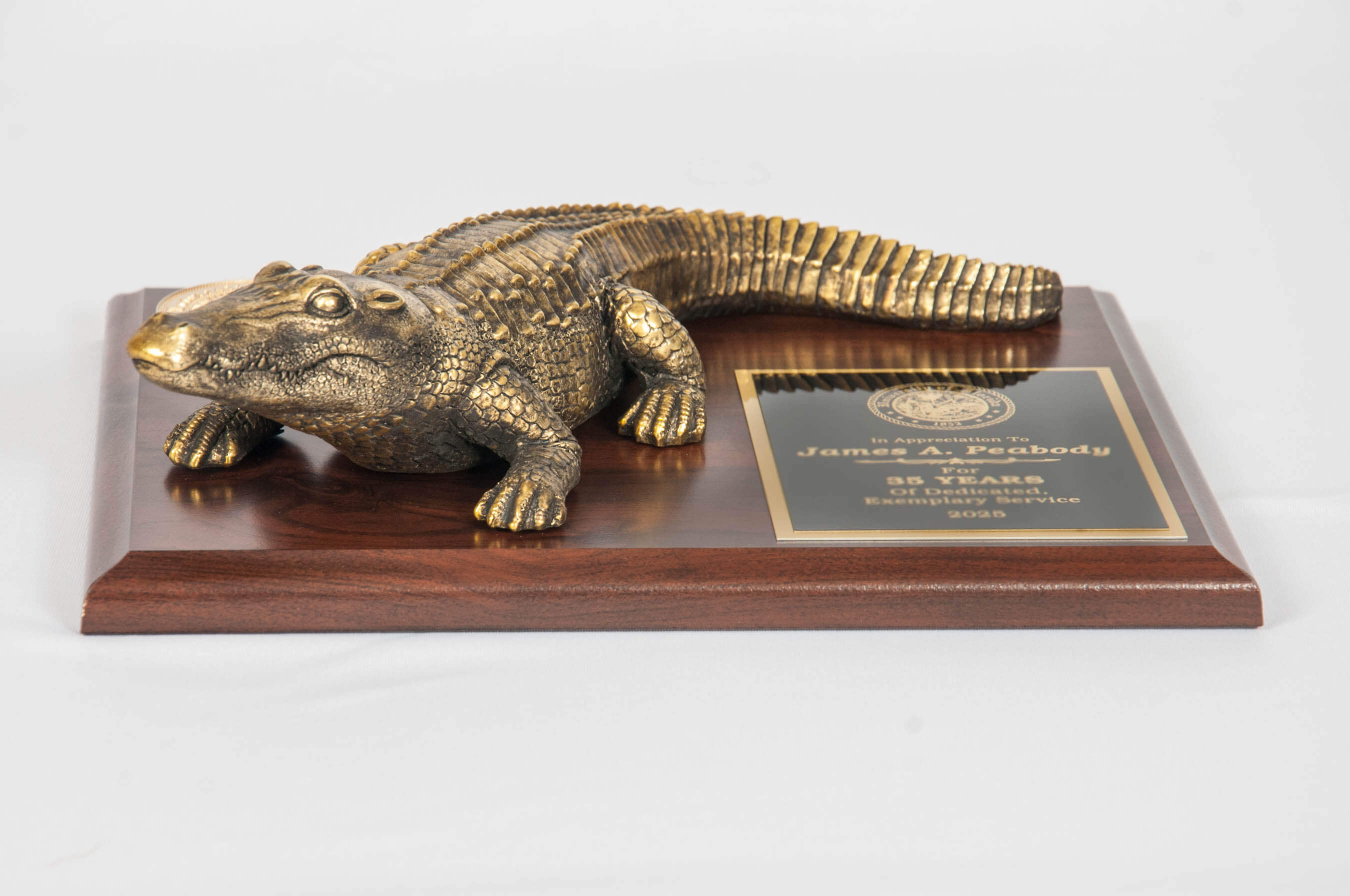 Closed Mouth Gator on 8x10 Plaque front